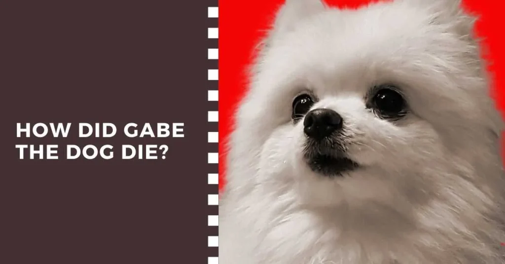 How Did Gabe The Dog Die?