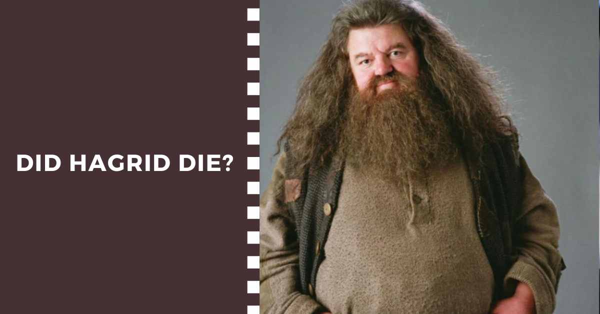 Did Hagrid Die? What Really Happened To Him In Harry Potter ...