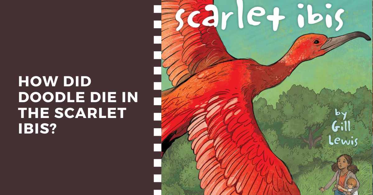 the scarlet ibis theme